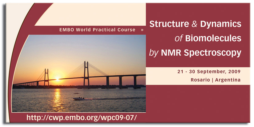 EMBO Logo 2009d