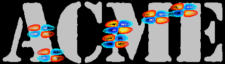 acme logo