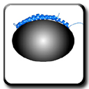 Dipolar Couplings Can Reveal Structural Details that are Difficult to Characterize from Distances