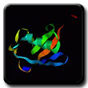 Ubiquitin: Protein Fold