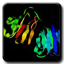 Results for MFR Structure Determination of Gamma-S Crystallin