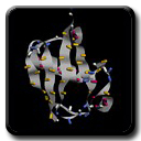 Ubiquitin: HN-N Bond Vector Orientations are Not Random or Uniform