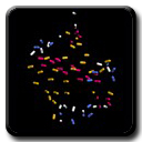 Ubiquitin: HN-N Bond Vector Orientations are Not Random or Uniform