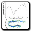 MFR Tensor Magnitude Estimates Reveal Dynamics